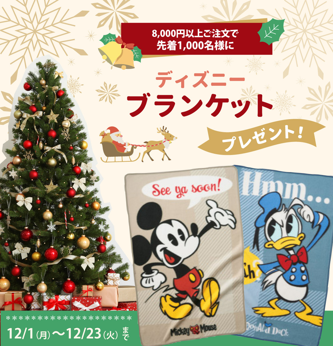 クリスマスプレゼント企画